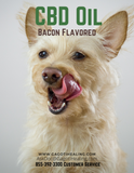 300mg CBD Oil- Bacon Flavored