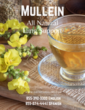 Mullein Tea