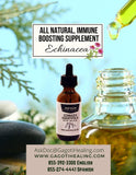 Echinacea Augustifolia Tincture