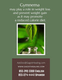 Gymnema Tincture