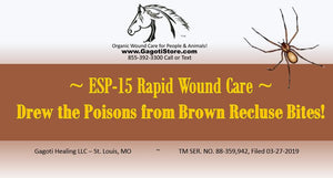 Brown Recluse Bites are No Match for ESP-15!!