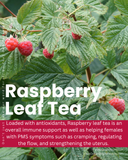 Raspberry Leaf Tea