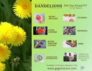 Dandelion Tincture